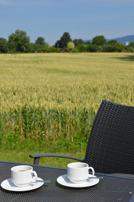 Hotel Sulzbacher Hof Sulzbach (Hessen)
